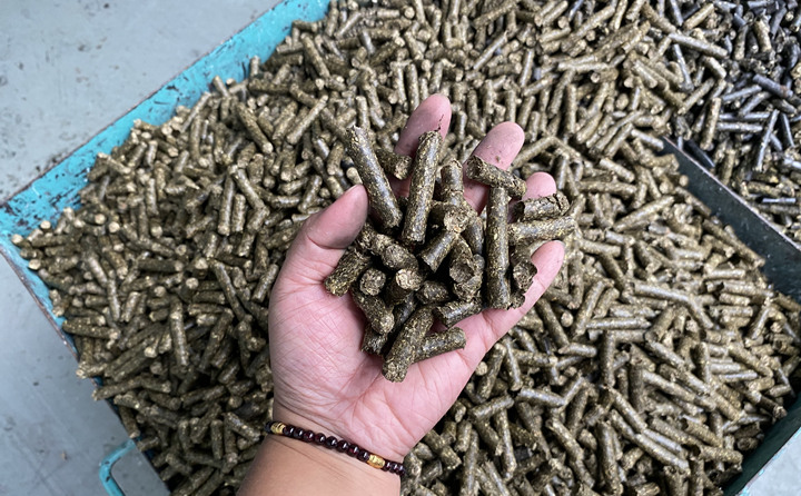 生物質(zhì)能源是天然的綠色燃料，燃燒后從原料再生到能源轉(zhuǎn)化，可全周期趨于碳的零排放。因此實(shí)現(xiàn)碳中和目標(biāo)，生物質(zhì)能大有可為