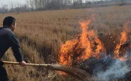 生物質顆粒機解決了農村大難題！